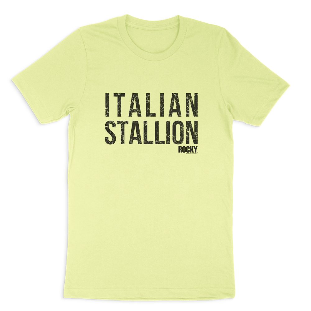 ROCKY ITALIAN STALLION SHORT SLEEVE T-SHIRT