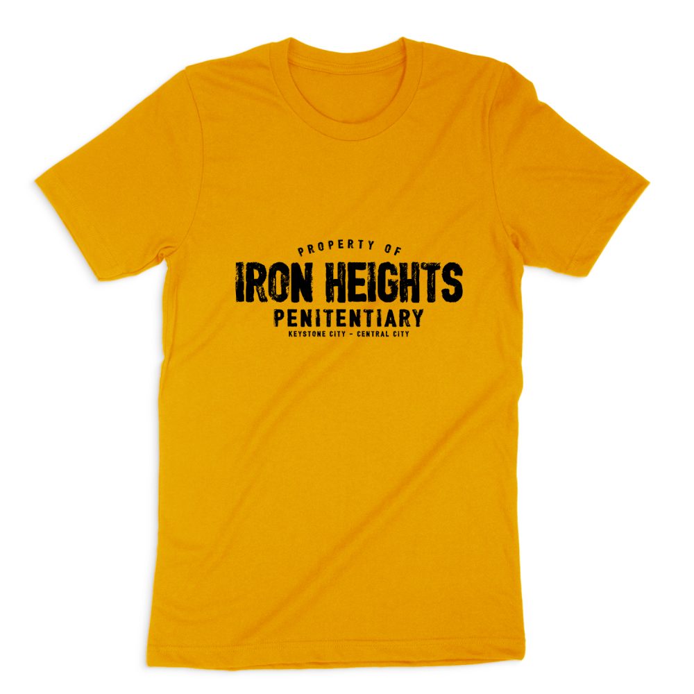 JUSTICE LEAGUE IRON HEIGHTS SHORT SLEEVE T-SHIRT