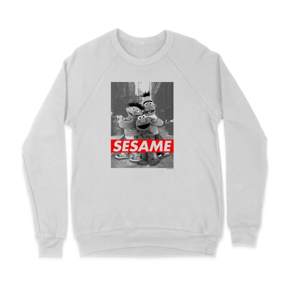 SESAME STREET SESAME SWEATSHIRT